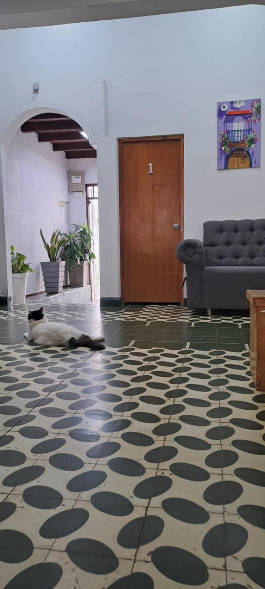 Hostal Casa Lara Cartagena المظهر الخارجي الصورة
